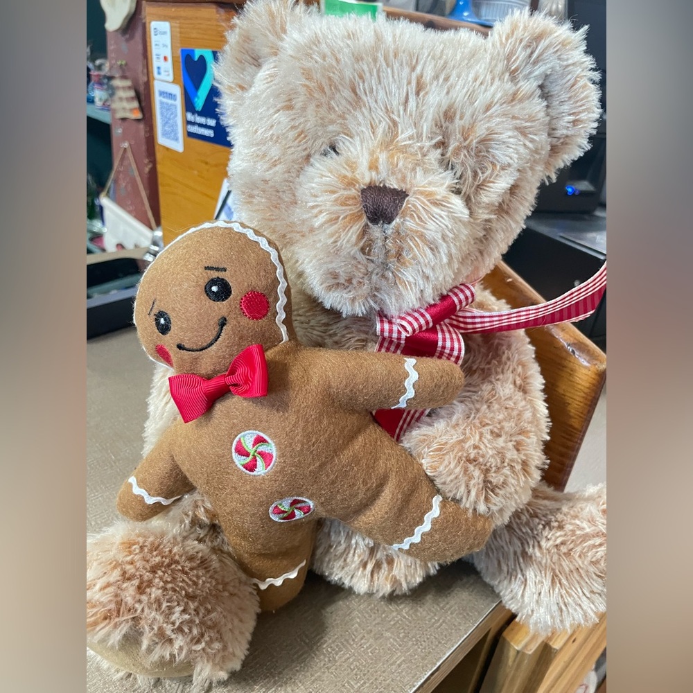 Plush Teddy Bear with Gingerbread Man Toy